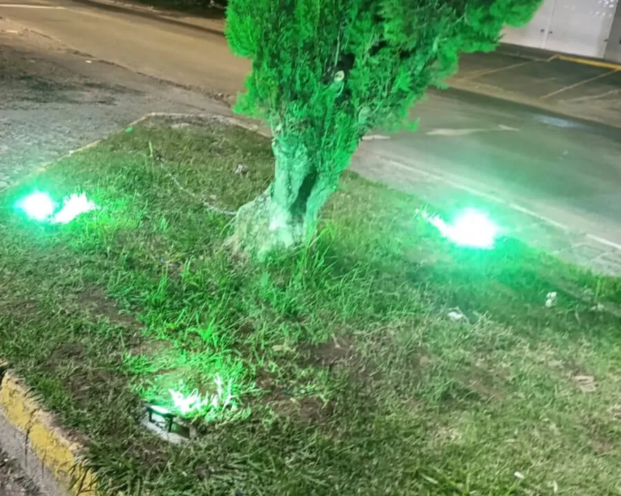 Serviços Complementares